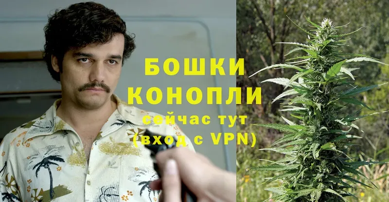 хочу   Ртищево  Шишки марихуана THC 21% 